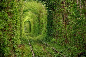 愛のトンネル　ウクライナ
